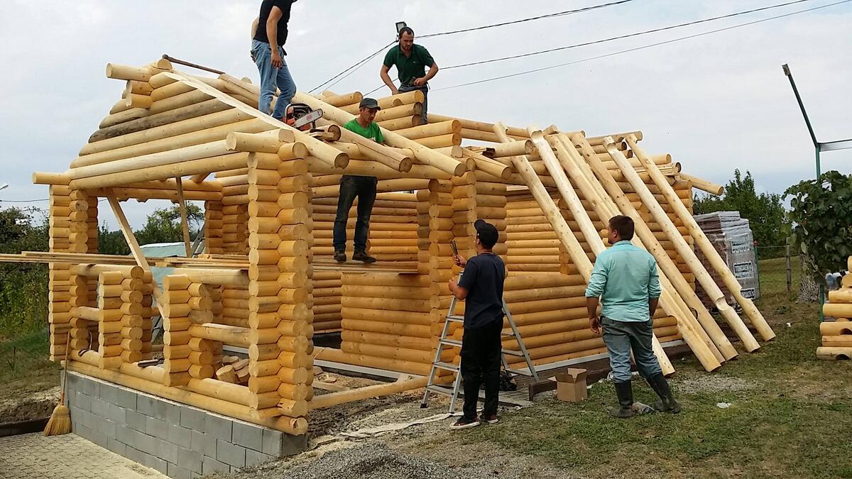 Our team raising a new timber-frame cabin in Repedea, Maramureș